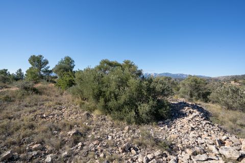 Finca i Tivenys, Tarragona, Tivenys - € 7.500 | Ref: 819 - foto 5