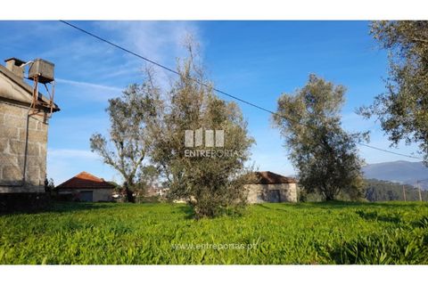 Landejendom i Amarante, Porto, Amarante - € 600.000 | Ref: MC09299 - foto 2