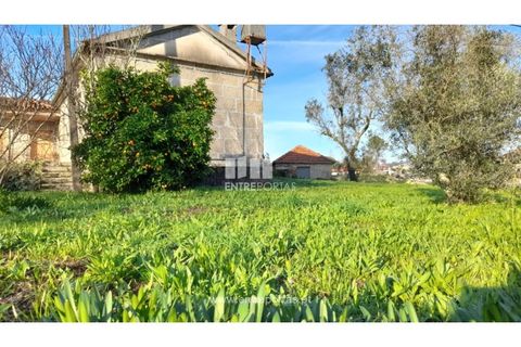 Landejendom i Amarante, Porto, Amarante - € 600.000 | Ref: MC09299 - foto 3