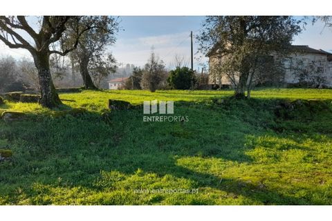 Landejendom i Amarante, Porto, Amarante - € 600.000 | Ref: MC09299 - foto 10