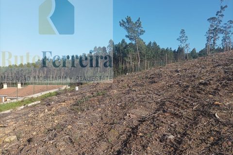 Helårsgrund i Matacaes, Lisbon, Matacaes - € 250.000 | Ref: RF-30-01/2023 - foto 4