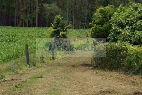 Helårsgrund i Maia, Porto, Maia - € 1.250.000 | Ref: 12607014 - foto 3