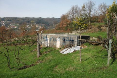 Farm i Baiao, Porto, Baiao - € 80.000 | Ref: 12607040 - foto 1