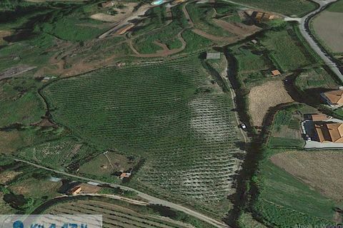 Farm i Baiao, Porto, Baiao - € 80.000 | Ref: 12607040 - foto 9