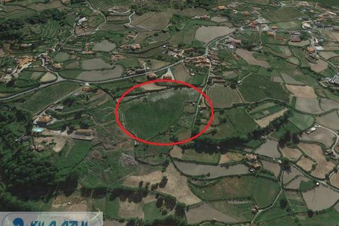Farm i Baiao, Porto, Baiao - € 80.000 | Ref: 12607040 - foto 10