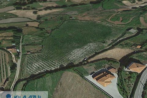 Farm i Baiao, Porto, Baiao - € 80.000 | Ref: 12607040 - foto 8
