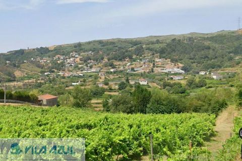 Farm i Baiao, Porto, Baiao - € 80.000 | Ref: 12607040 - foto 2