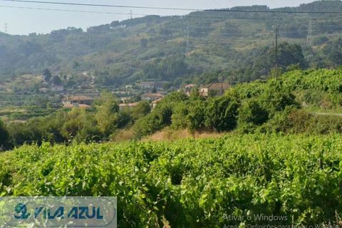 Farm i Baiao, Porto, Baiao - € 80.000 | Ref: 12607040 - foto 3
