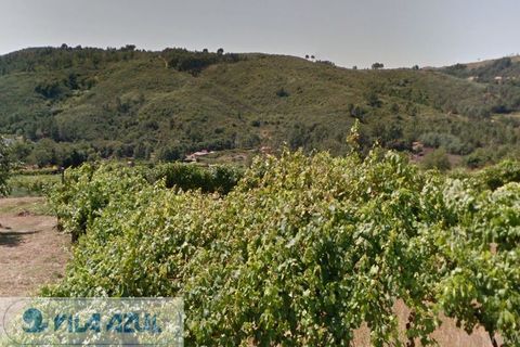 Farm i Baiao, Porto, Baiao - € 80.000 | Ref: 12607040 - foto 6