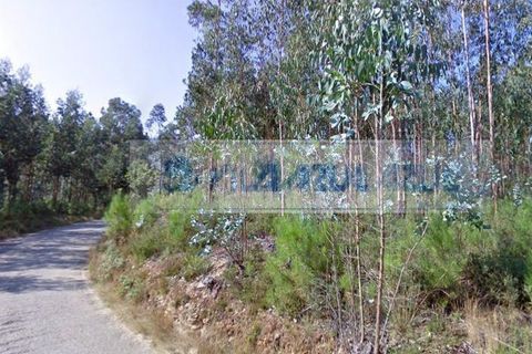 Helårsgrund i Gondomar, Porto, Gondomar - € 110.000 | Ref: 12607048 - foto 3