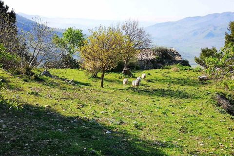 Farm hus i Giuliana, Palermo, Giuliana - € 45.000 | Ref: 8682RC51577 - foto 8
