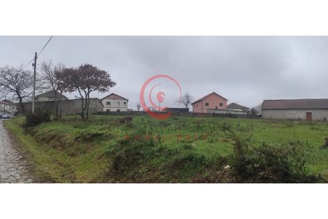 Helårsgrund i Chaves, Vila Real, Chaves - € 97.000 | Ref: CM01-0067 - foto 5