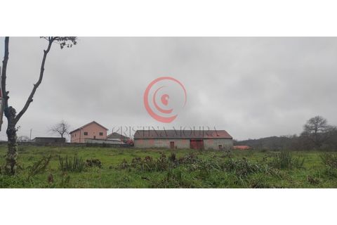 Helårsgrund i Chaves, Vila Real, Chaves - € 97.000 | Ref: CM01-0067 - foto 9