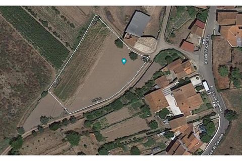 Helårsgrund i Anadia, Aveiro, Anadia - € 30.000 | Ref: TER_995 - foto 5