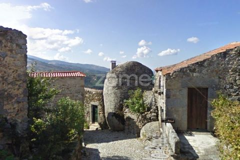 Villa a Linhares, Braganca, Linhares - € 22.000 | Ref: ZMPT554871 - foto 18