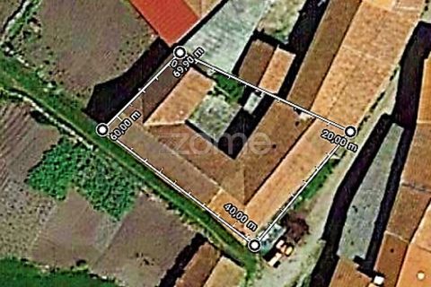 Villa i Cambeses do Rio, Vila Real, Cambeses do Rio - € 66.500 | Ref: ZMPT554691 - foto 15
