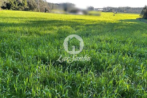 Helårsgrund i Vila do Conde, Porto, Vila do Conde - € 280.000 | Ref: 240-T-24186 - foto 2
