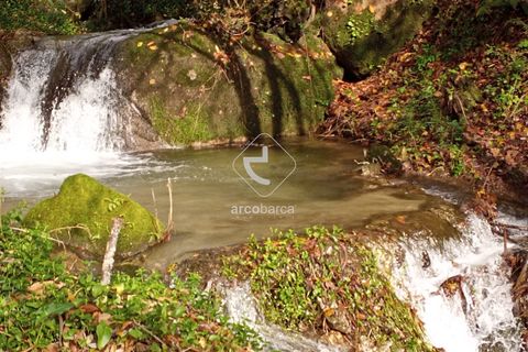 Helårsgrund i Arcos de Valdevez, Viana do Castelo, Arcos de Valdevez - € 69.000 | Ref: AV5545 - foto 6