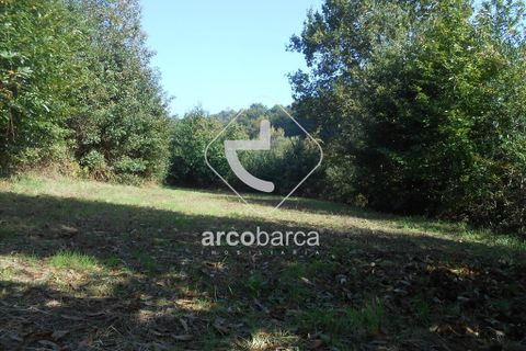 Helårsgrund i Arcos de Valdevez, Viana do Castelo, Arcos de Valdevez - € 69.000 | Ref: AV5545 - foto 21