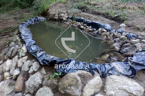 Helårsgrund i Arcos de Valdevez, Viana do Castelo, Arcos de Valdevez - € 69.000 | Ref: AV5545 - foto 13