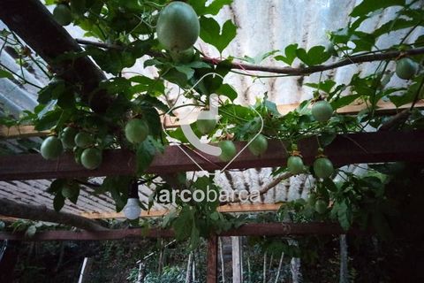 Helårsgrund i Arcos de Valdevez, Viana do Castelo, Arcos de Valdevez - € 69.000 | Ref: AV5545 - foto 19