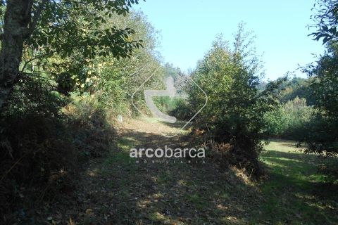 Helårsgrund i Arcos de Valdevez, Viana do Castelo, Arcos de Valdevez - € 69.000 | Ref: AV5545 - foto 22