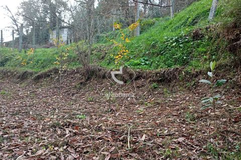 Helårsgrund i Arcos de Valdevez, Viana do Castelo, Arcos de Valdevez - € 69.000 | Ref: AV5545 - foto 9