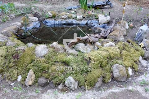Helårsgrund i Arcos de Valdevez, Viana do Castelo, Arcos de Valdevez - € 69.000 | Ref: AV5545 - foto 11