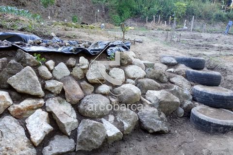 Helårsgrund i Arcos de Valdevez, Viana do Castelo, Arcos de Valdevez - € 69.000 | Ref: AV5545 - foto 16