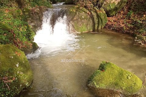Helårsgrund i Arcos de Valdevez, Viana do Castelo, Arcos de Valdevez - € 69.000 | Ref: AV5545 - foto 17