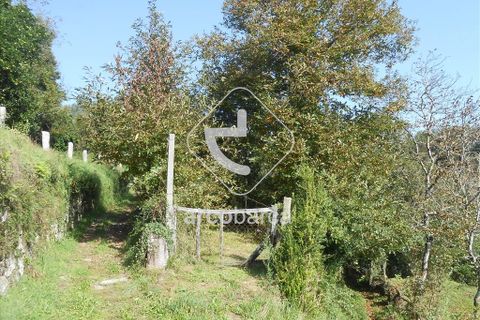 Helårsgrund i Arcos de Valdevez, Viana do Castelo, Arcos de Valdevez - € 69.000 | Ref: AV5545 - foto 12