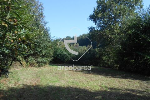 Helårsgrund i Arcos de Valdevez, Viana do Castelo, Arcos de Valdevez - € 69.000 | Ref: AV5545 - foto 3