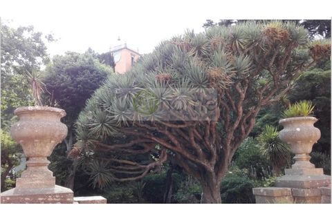 Villa i Oeiras, Lisbon, Oeiras - € 11.500.000 | Ref: PAL_867 - foto 17