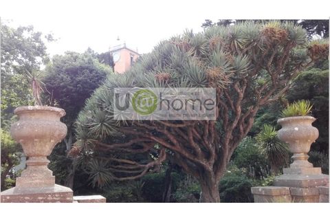 Villa i Oeiras, Lisbon, Oeiras - € 11.500.000 | Ref: PAL_867 - foto 41