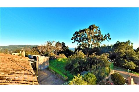 Villa i Monchique, Faro, Monchique - € 849.000 | Ref: pe1887 - foto 15