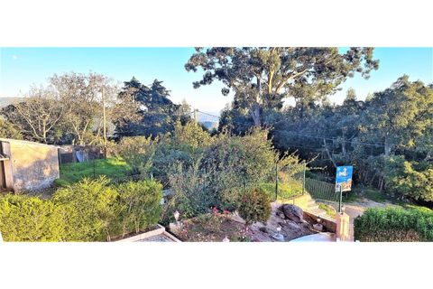 Villa i Monchique, Faro, Monchique - € 849.000 | Ref: pe1887 - foto 19