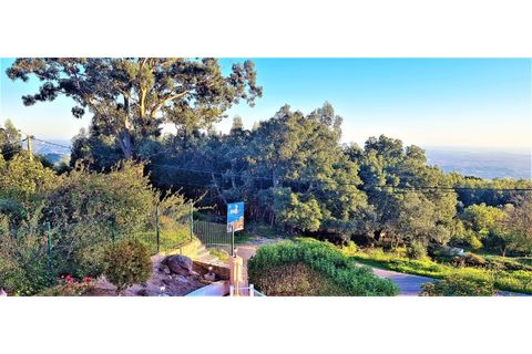 Villa i Monchique, Faro, Monchique - € 849.000 | Ref: pe1887 - foto 20