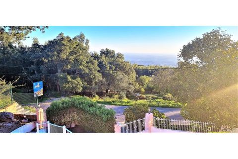 Villa i Monchique, Faro, Monchique - € 849.000 | Ref: pe1887 - foto 21