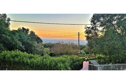 Villa i Monchique, Faro, Monchique - € 849.000 | Ref: pe1887 - foto 29