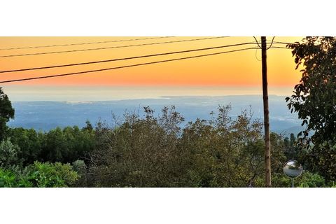 Villa i Monchique, Faro, Monchique - € 849.000 | Ref: pe1887 - foto 31