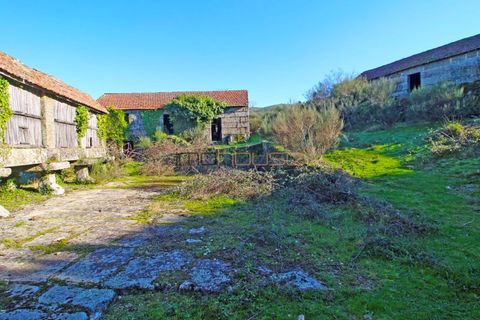 Farm i Amarante, Porto, Amarante - € 240.000 | Ref: 00629FR - foto 10