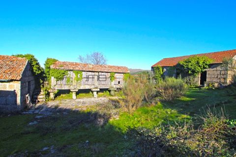 Farm i Amarante, Porto, Amarante - € 240.000 | Ref: 00629FR - foto 11