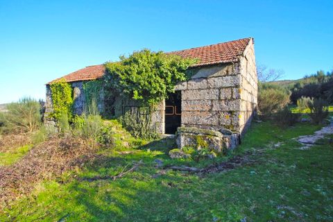 Farm i Amarante, Porto, Amarante - € 240.000 | Ref: 00629FR - foto 13