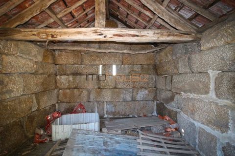 Farm i Amarante, Porto, Amarante - € 240.000 | Ref: 00629FR - foto 19