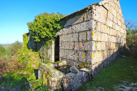 Farm i Amarante, Porto, Amarante - € 240.000 | Ref: 00629FR - foto 22