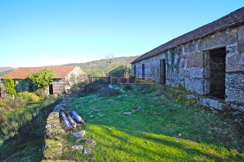 Farm i Amarante, Porto, Amarante - € 240.000 | Ref: 00629FR - foto 25