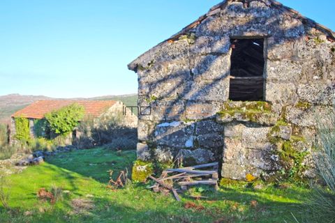 Farm i Amarante, Porto, Amarante - € 240.000 | Ref: 00629FR - foto 29