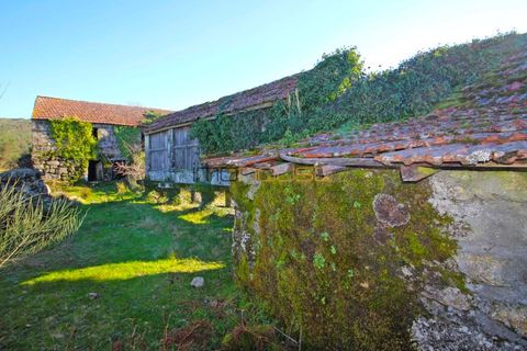 Farm i Amarante, Porto, Amarante - € 240.000 | Ref: 00629FR - foto 30