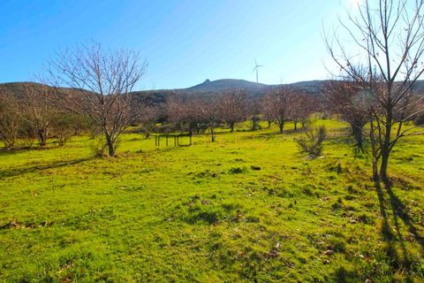 Farm i Amarante, Porto, Amarante - € 240.000 | Ref: 00629FR - foto 9