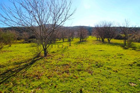 Farm i Amarante, Porto, Amarante - € 240.000 | Ref: 00629FR - foto 34